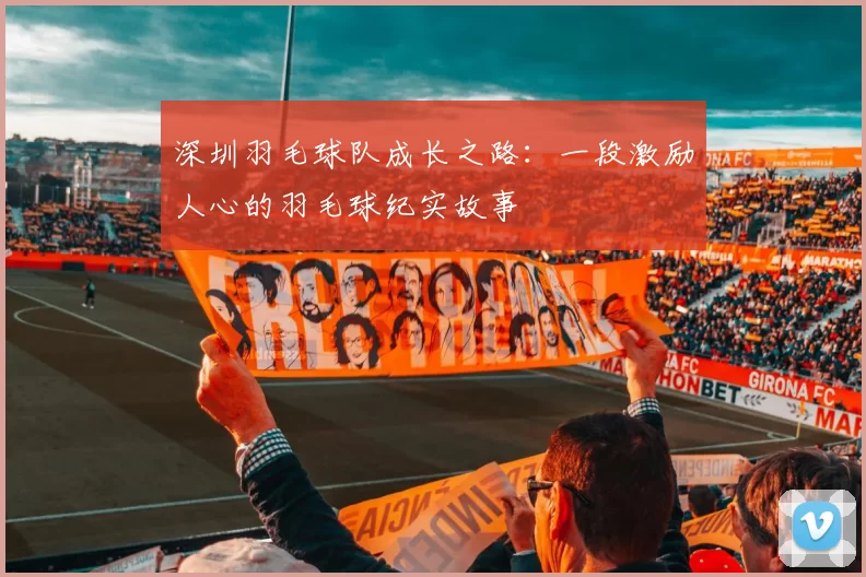 深圳羽毛球队成长之路：一段激励人心的羽毛球纪实故事