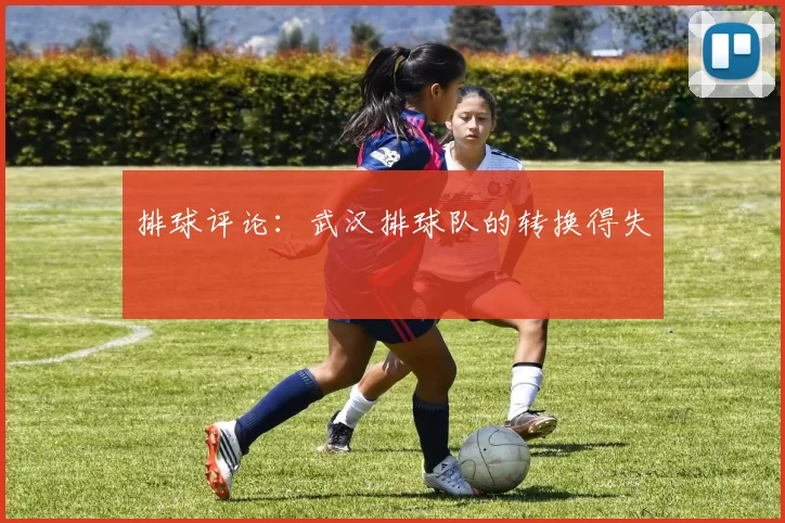 排球评论：武汉排球队的转换得失