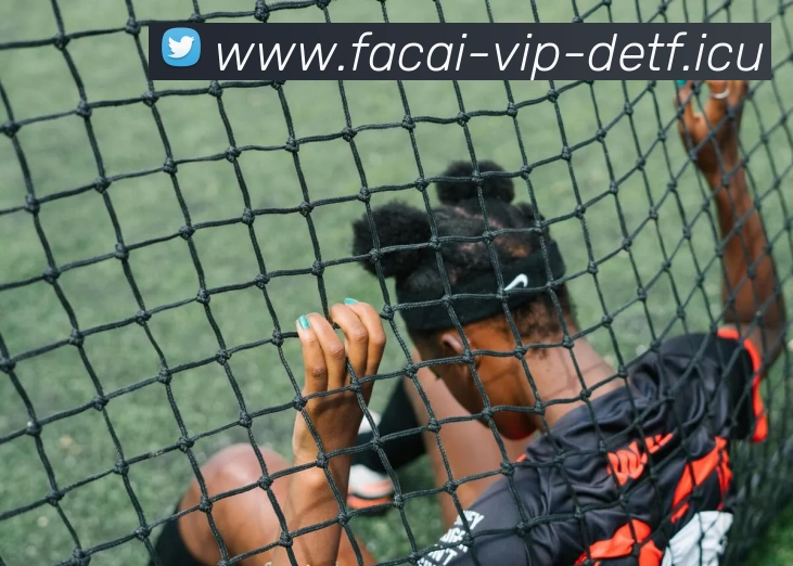 星空体育平台生态图