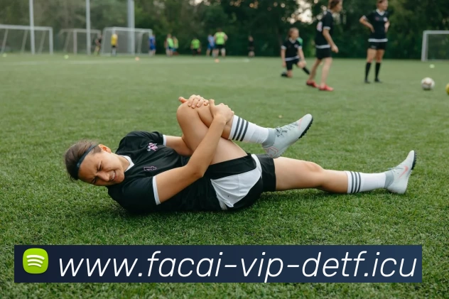 星空体育全站App